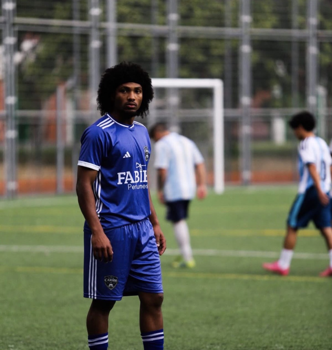 Luis Fernandez