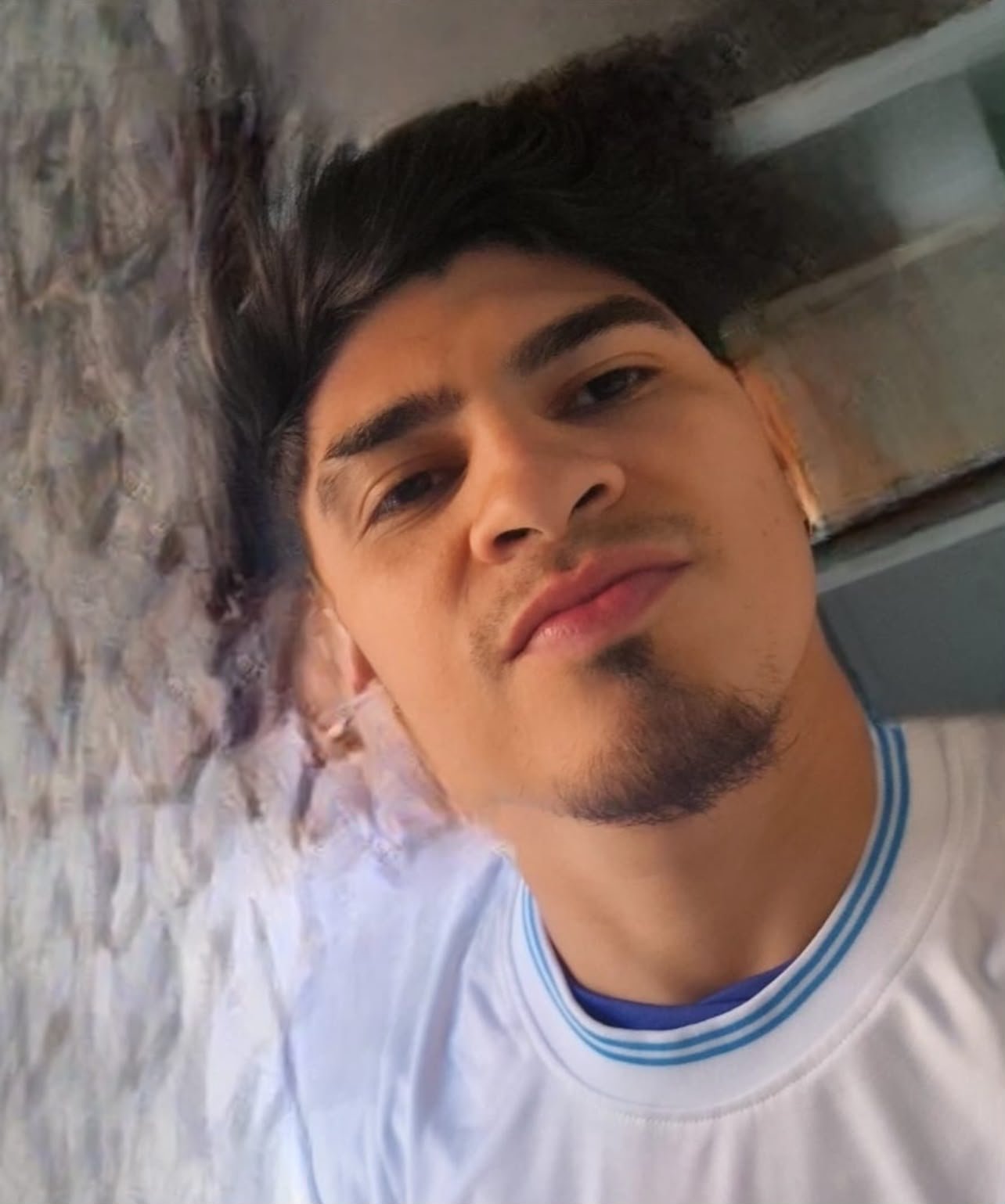 Willy jafet Flores